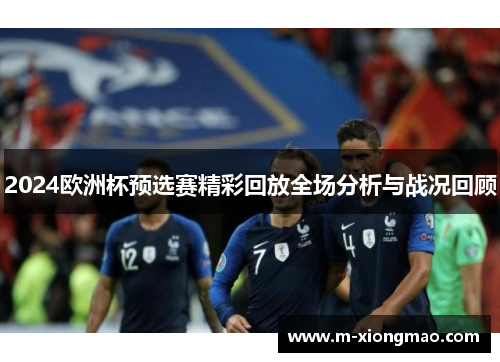 2024欧洲杯预选赛精彩回放全场分析与战况回顾