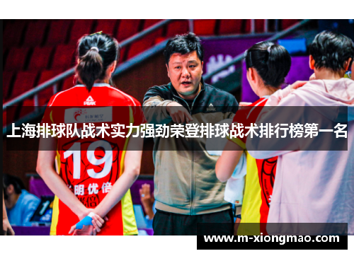 上海排球队战术实力强劲荣登排球战术排行榜第一名