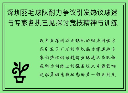 深圳羽毛球队耐力争议引发热议球迷与专家各执己见探讨竞技精神与训练方式