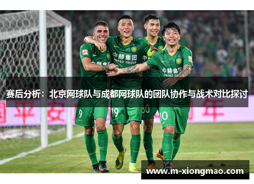 赛后分析：北京网球队与成都网球队的团队协作与战术对比探讨