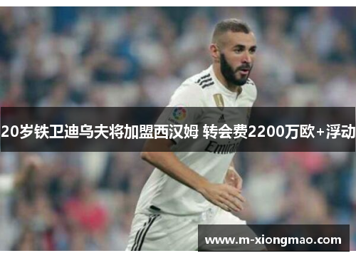 20岁铁卫迪乌夫将加盟西汉姆 转会费2200万欧+浮动
