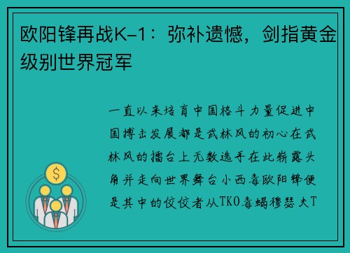 欧阳锋再战K-1:弥补遗憾,剑指黄金级别世界冠军